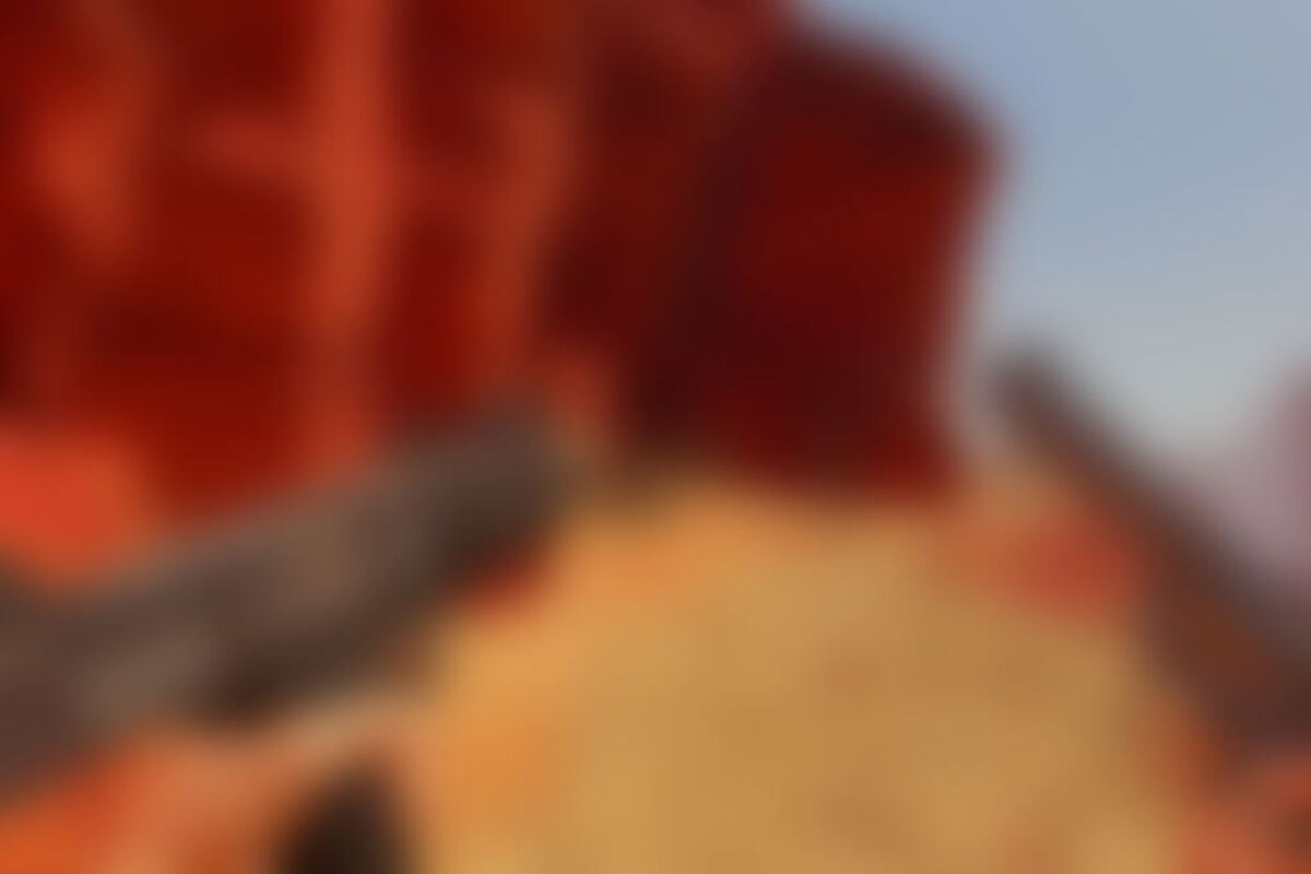 Фотография VR-квеста Arizona Sunshine от компании Дивный новый мир (Фото 2)